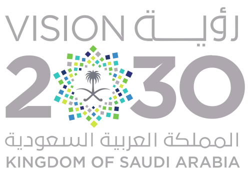 رؤية ٢٠٣٠